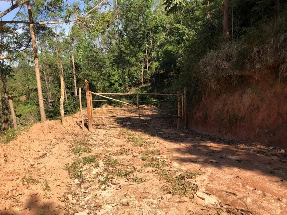 Chácara, 3 quartos, 72 hectares - Foto 8