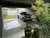 Casa, 4 quartos, 112 m² - Foto 4