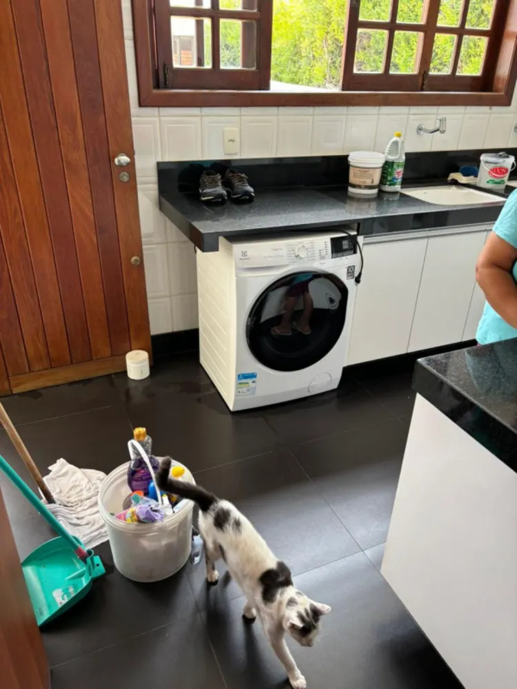 Casa, 4 quartos, 400 m² - Foto 12