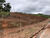 Terreno, 1204 m² - Foto 3