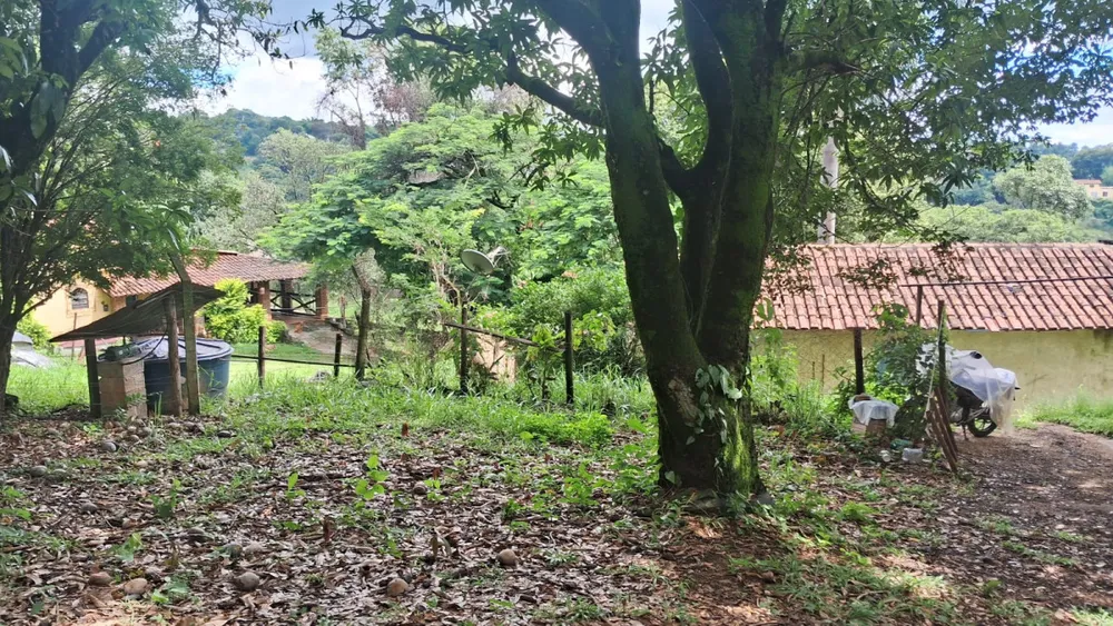 Terreno - Foto 6