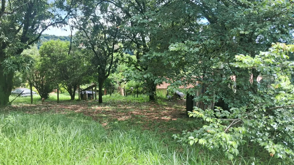 Terreno - Foto 8
