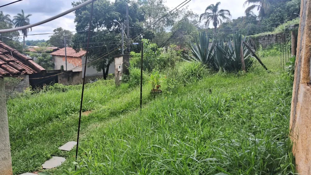 Terreno - Foto 5