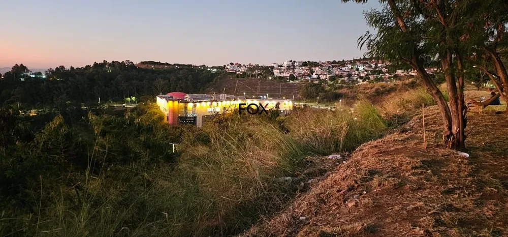 Casa, 5 quartos, 350 m² - Foto 7