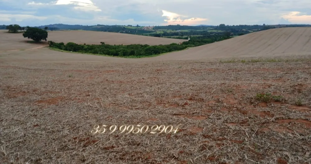 Fazenda, 278 hectares - Foto 8