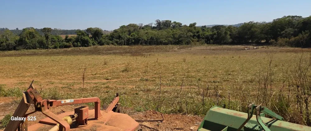 Fazenda, 278 hectares - Foto 13