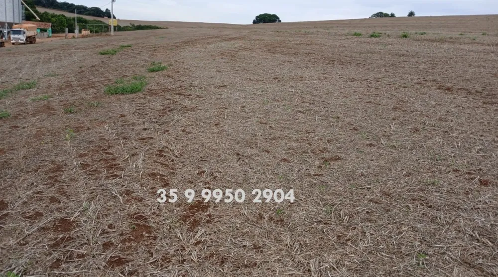 Fazenda, 278 hectares - Foto 7