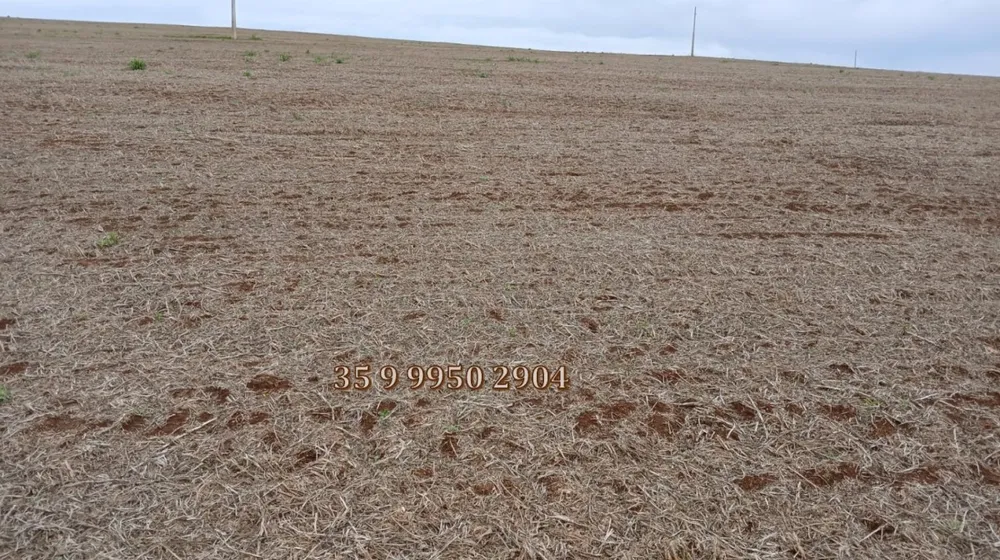 Fazenda, 278 hectares - Foto 11