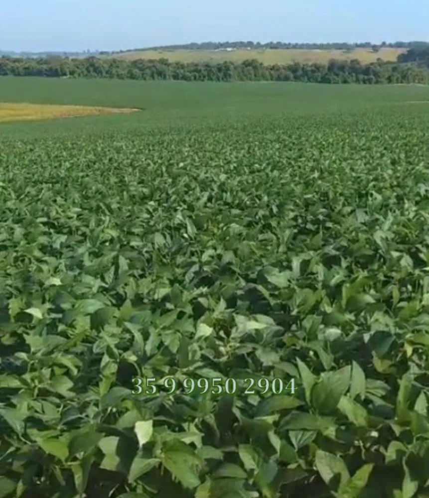 Fazenda, 278 hectares - Foto 22