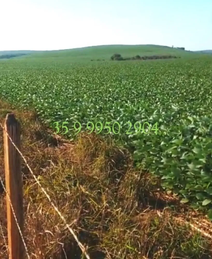 Fazenda, 278 hectares - Foto 25
