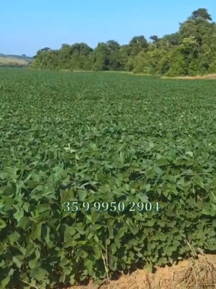 Fazenda, 278 hectares - Foto 12
