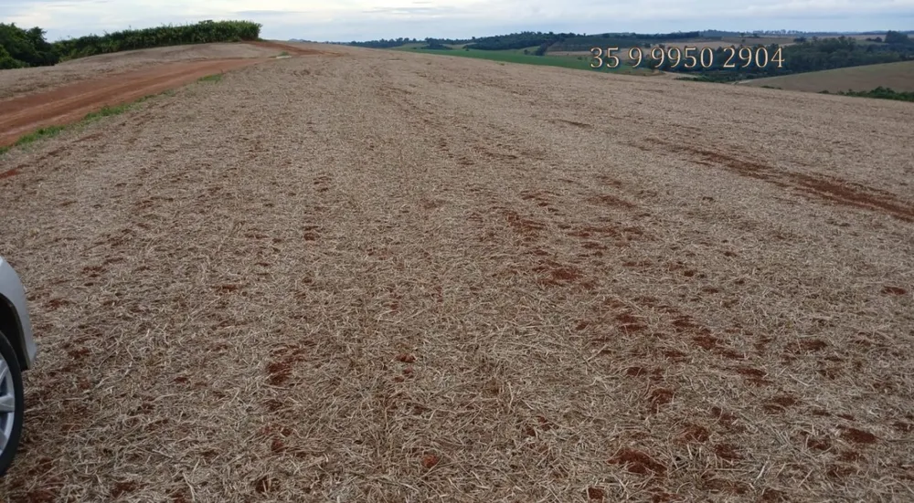 Fazenda, 278 hectares - Foto 7