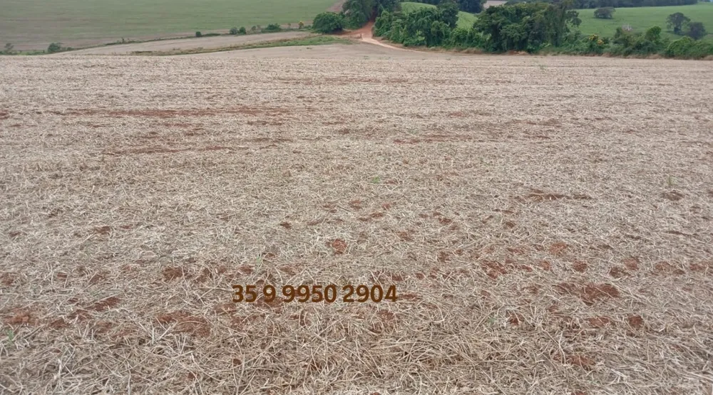Fazenda, 278 hectares - Foto 6
