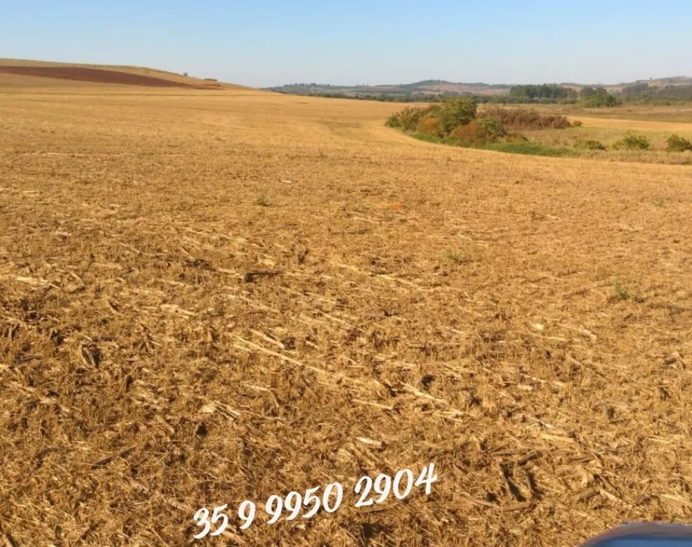 Fazenda, 278 hectares - Foto 1
