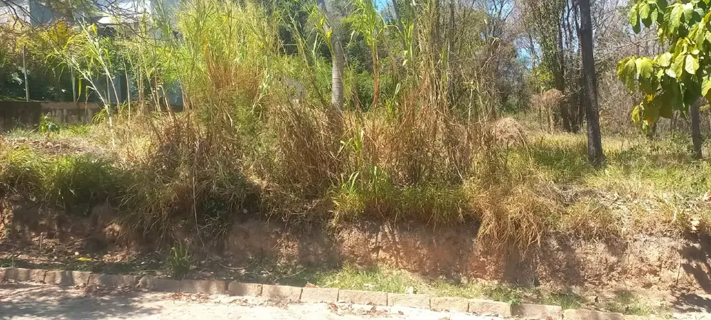 Terreno, 2200 m² - Foto 2