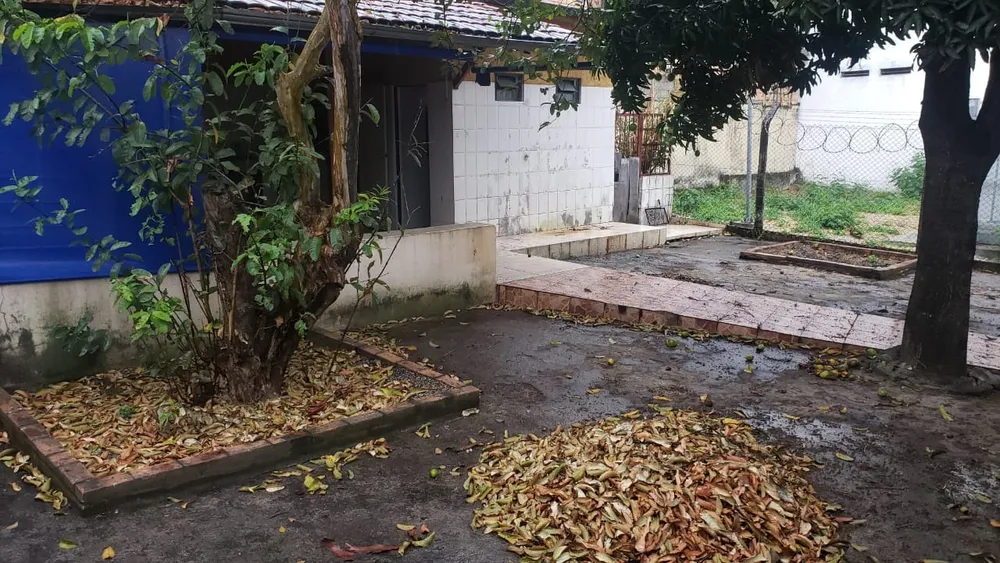 Casa, 3 quartos, 360 m² - Foto 4