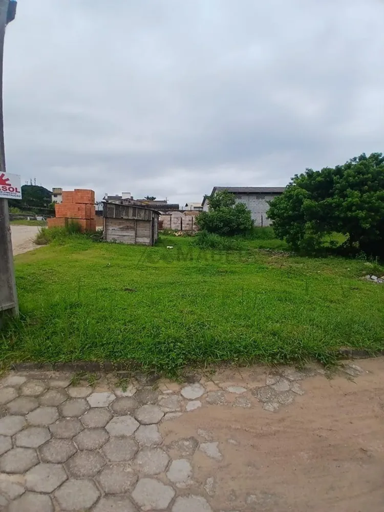 Casa, 3 quartos, 450 m² - Foto 4