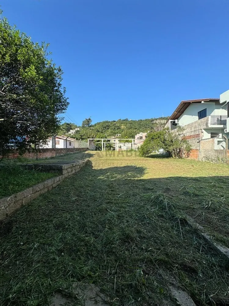 Casa, 3 quartos, 450 m² - Foto 3