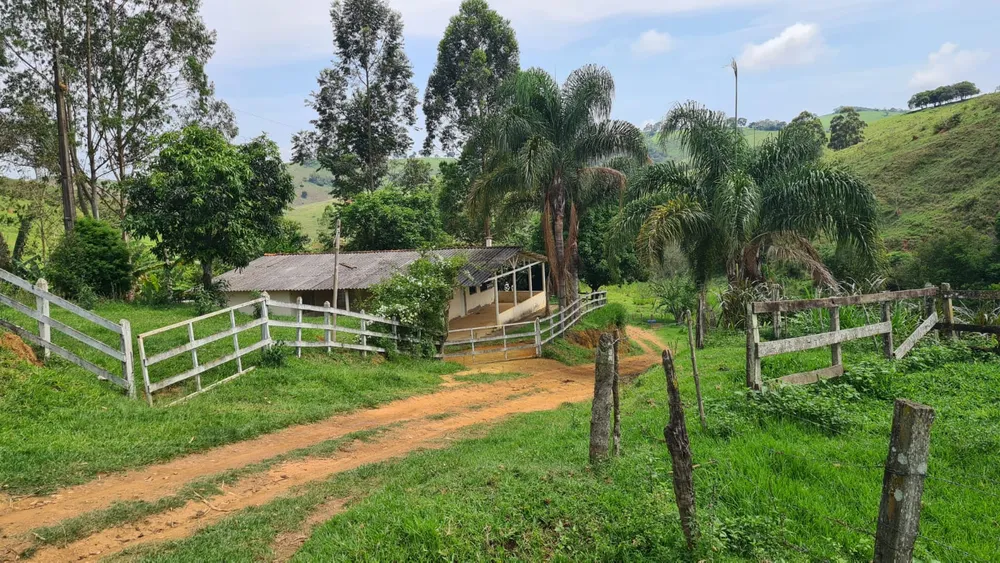 Fazenda, 203 hectares - Foto 10