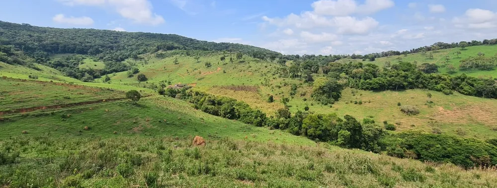 Fazenda, 203 hectares - Foto 5