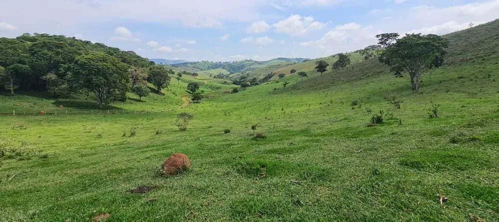 Fazenda, 203 hectares - Foto 8