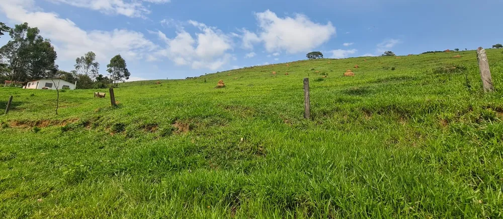 Fazenda, 203 hectares - Foto 2