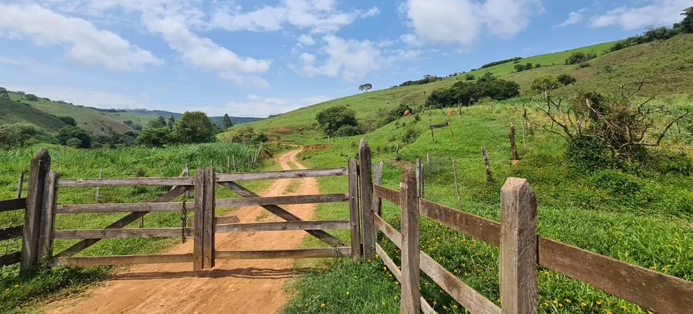 Fazenda, 203 hectares - Foto 7