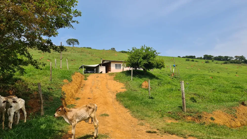 Fazenda, 203 hectares - Foto 13