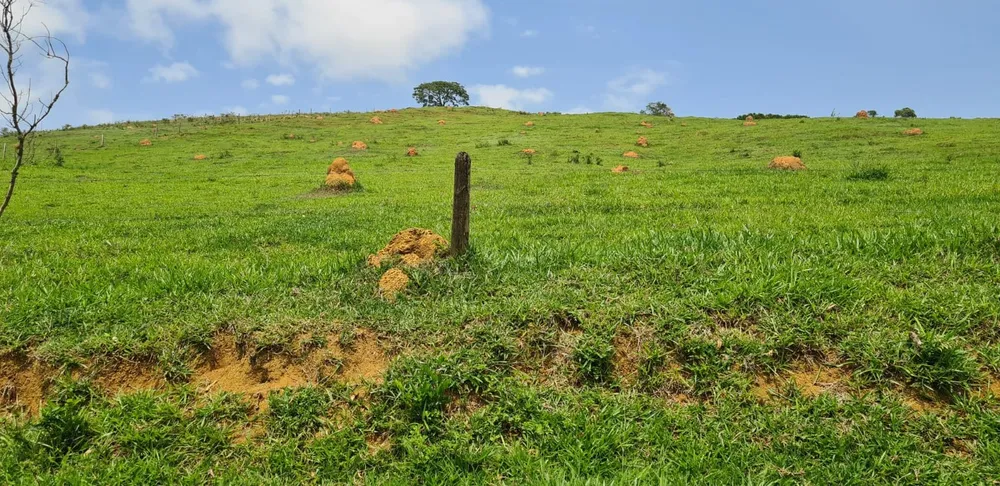 Fazenda, 203 hectares - Foto 3