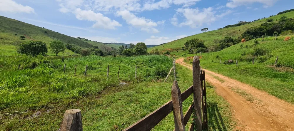 Fazenda, 203 hectares - Foto 1