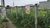 Terreno, 440 m² - Foto 2