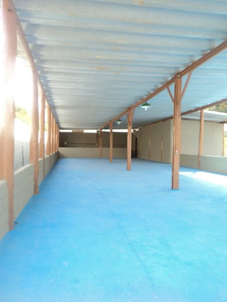 Sítio, 3 quartos, 200 m² - Foto 15