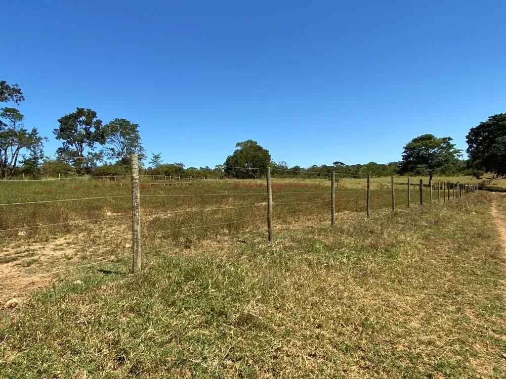 Fazenda, 3 quartos - Foto 6