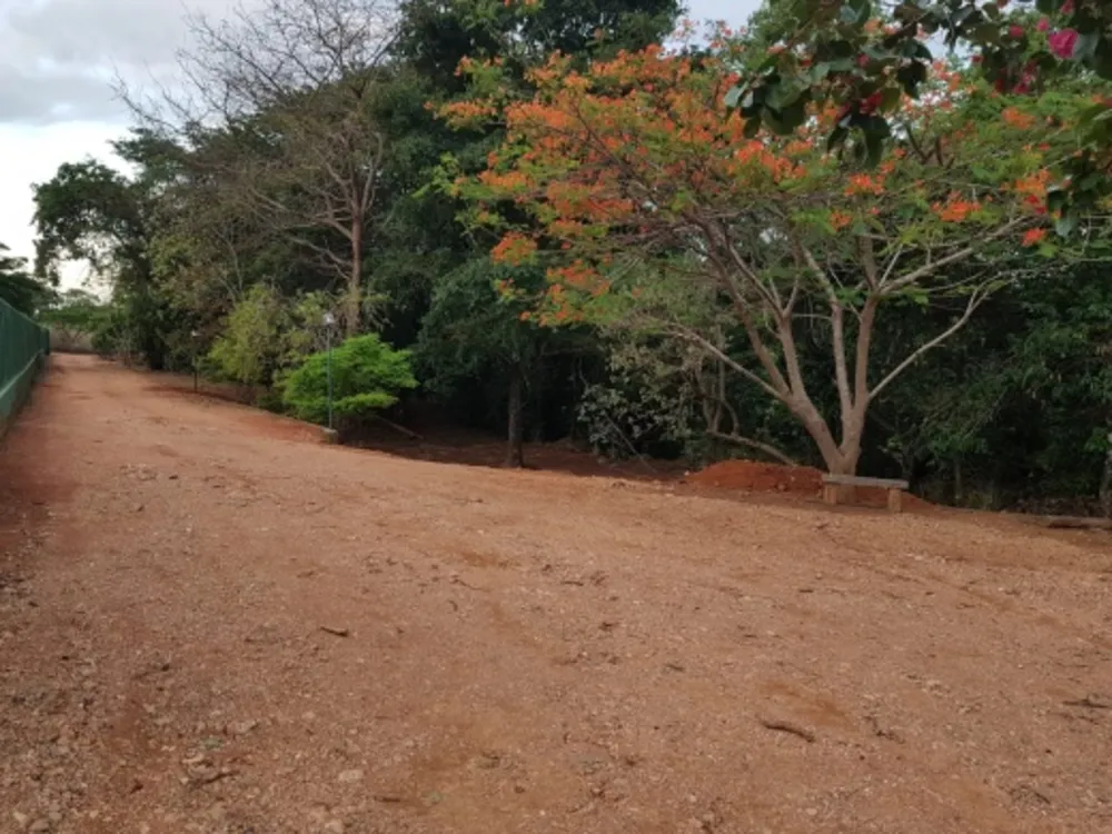 Chácara, 4 quartos - Foto 6