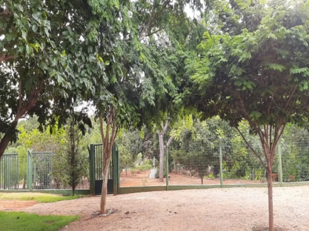 Chácara, 4 quartos - Foto 10