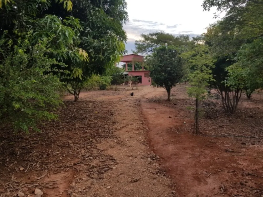 Chácara, 4 quartos - Foto 2