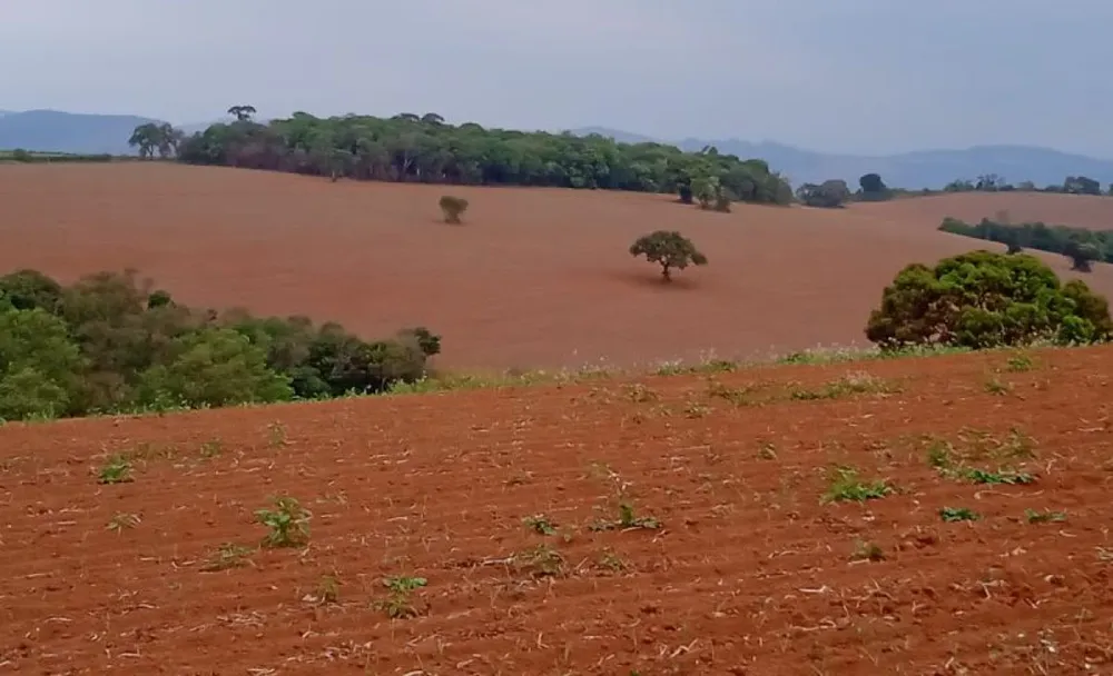 Fazenda, 147 hectares - Foto 1
