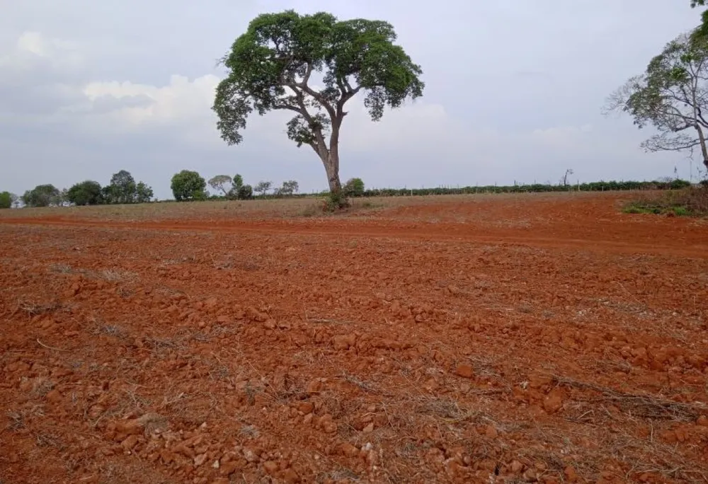 Fazenda, 147 hectares - Foto 8
