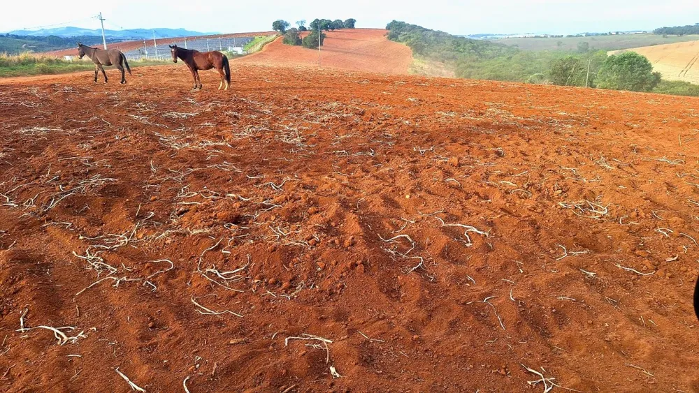 Fazenda, 147 hectares - Foto 2
