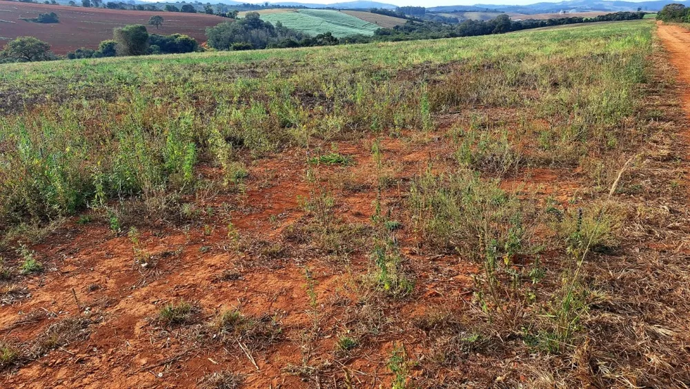 Fazenda, 147 hectares - Foto 6