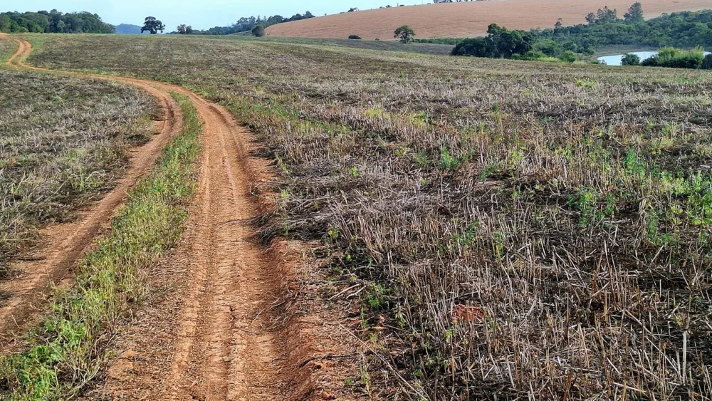 Fazenda, 147 hectares - Foto 7