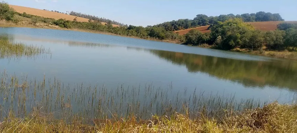 Fazenda, 147 hectares - Foto 5