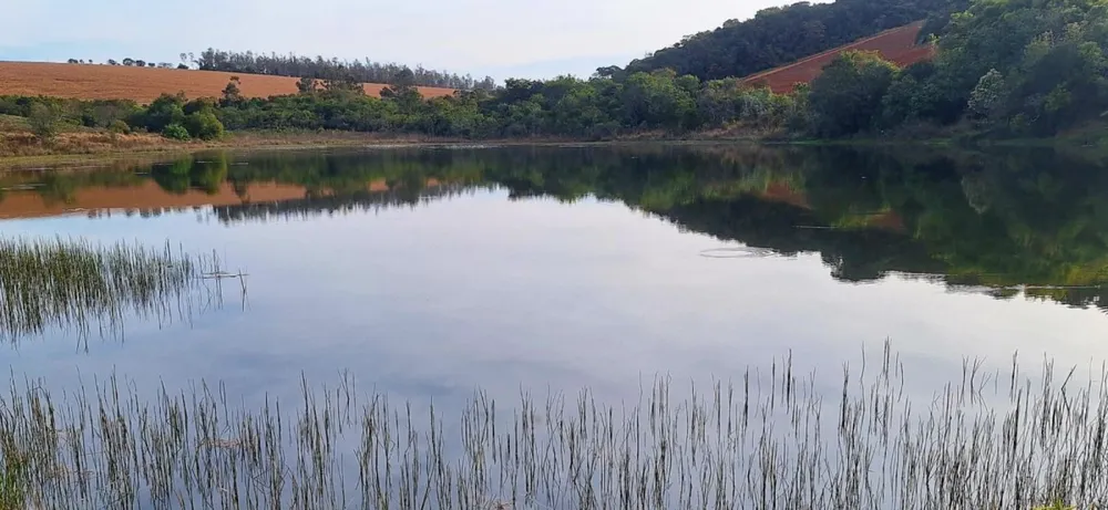 Fazenda, 147 hectares - Foto 4