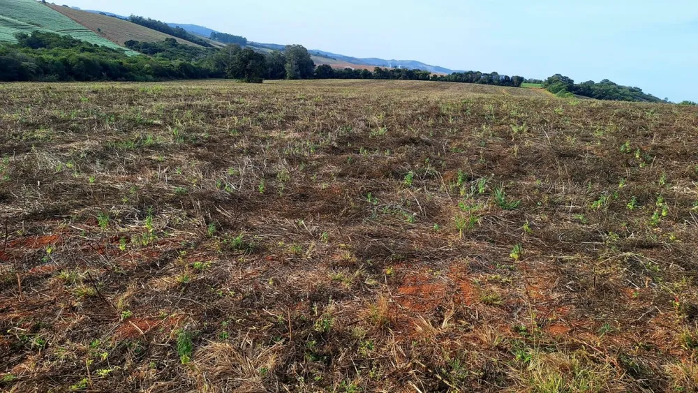 Fazenda, 147 hectares - Foto 3