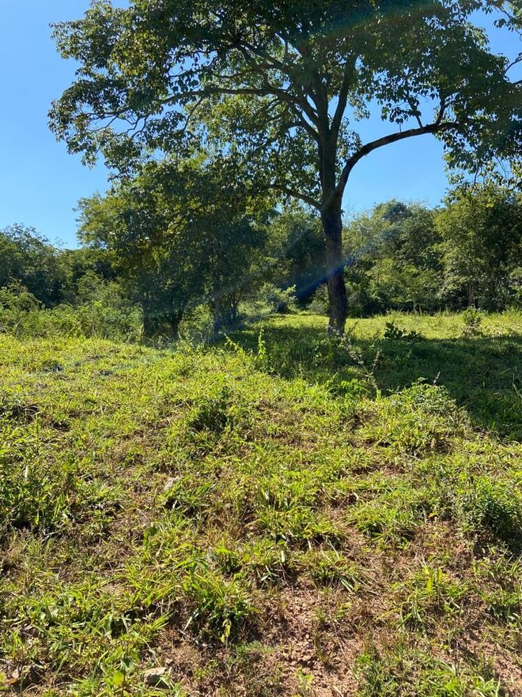 Fazenda à venda com 1 quarto, 212170000m² - Foto 7