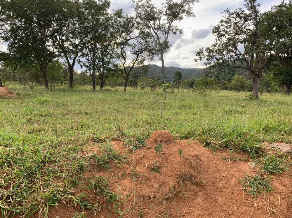 Fazenda à venda com 1 quarto, 212170000m² - Foto 9
