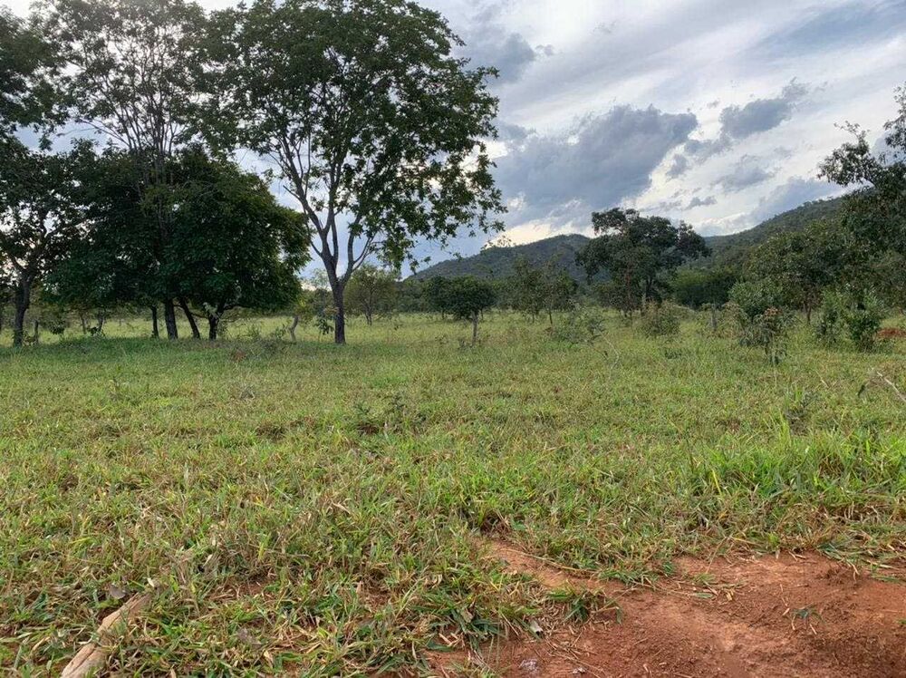 Fazenda à venda com 1 quarto, 212170000m² - Foto 15