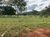 Fazenda, 21217 hectares - Foto 6