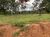 Fazenda, 21217 hectares - Foto 16