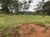 Fazenda, 21217 hectares - Foto 9